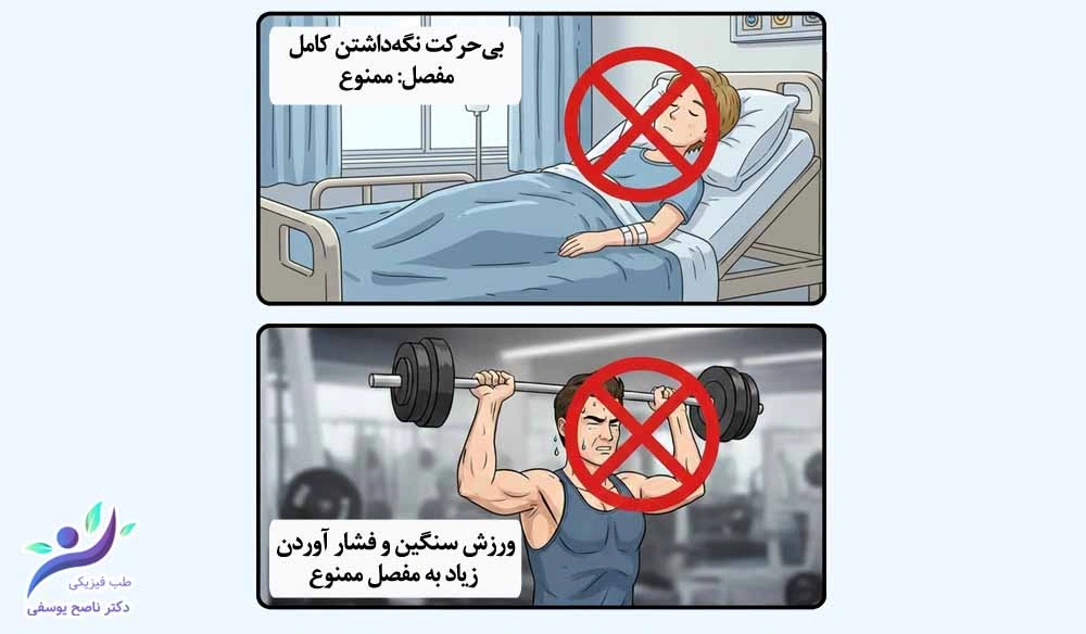 مفصل