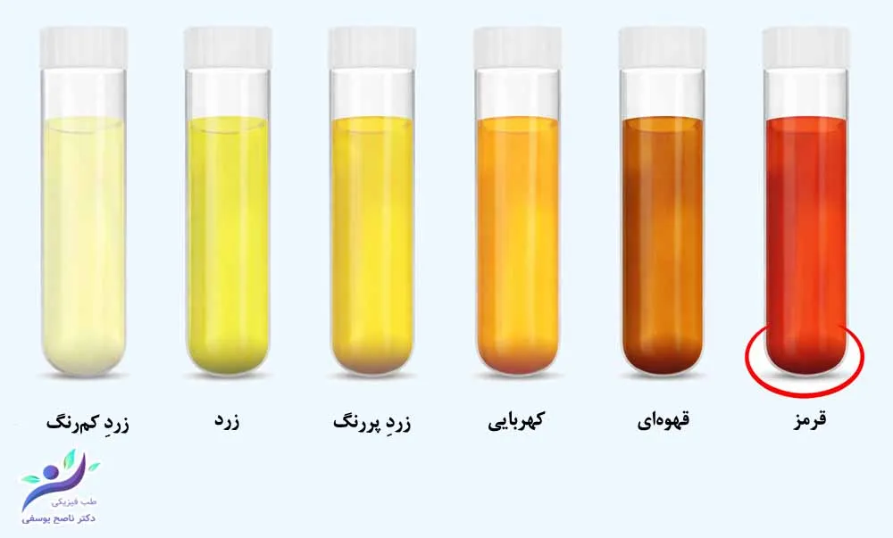 ظاهر ادرار