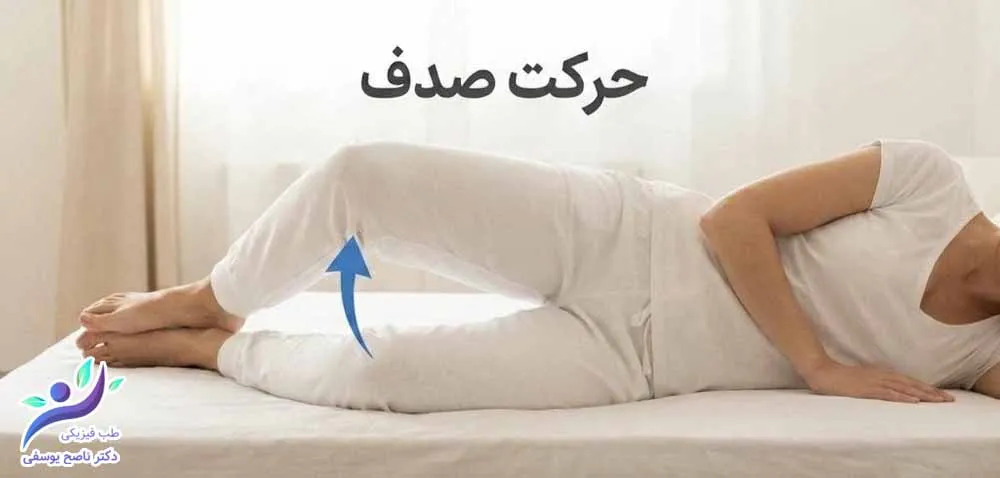 حرکت صدف